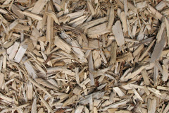 biomass boilers Valley